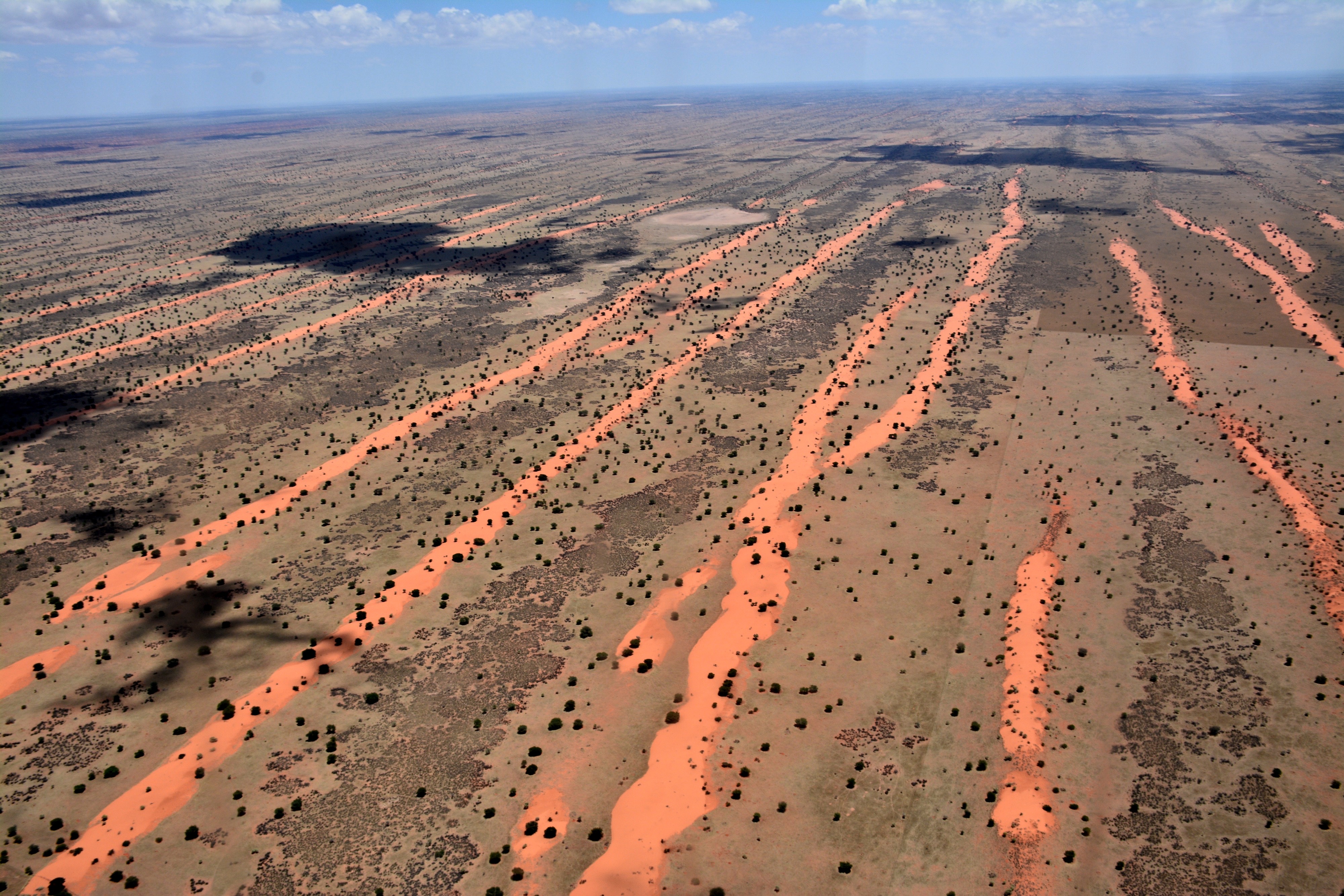 The Kalahari, Botswana